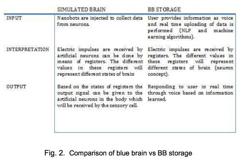 Blue Brain vs BB Storage