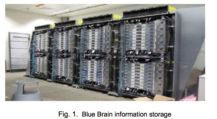 Blue Brain information Storage