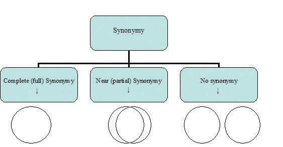 Example of synonymy generated by our method. On the left side, a
